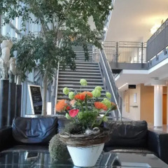Отель Akademiehotel Dresden Германия, Дрезден - отзывы, цены и фото номеров - забронировать отель Akademiehotel Dresden онлайн