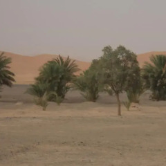 Отель Dar El Janoub Марокко, Мерзуга - отзывы, цены и фото номеров - забронировать отель Dar El Janoub онлайн парковка