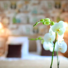 Hotel Relais Saint Jacques фото 6