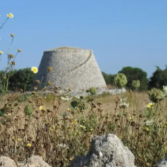Отель Masseria Copertini Верноле фото 6
