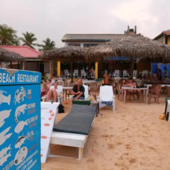 Отель Budde's Beach Restaurant & Guesthouse Хиккадува развлечения