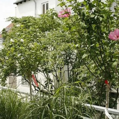 Отель Viennaappartement Австрия, Вена - отзывы, цены и фото номеров - забронировать отель Viennaappartement онлайн