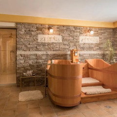 Wellness&spa Boutique Hotel Pod Lipkami Прага сауна