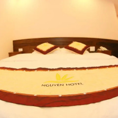 Nguyen Hotel Стандартный номер с двуспальной кроватью фото 3