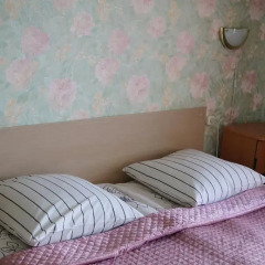 Гостиница Центральная Улучшенный номер двуспальная кровать фото 3