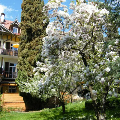 Hotel Angelica Меран