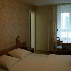 Hotel Limmathof 2* Стандартный номер с двуспальной кроватью фото 9
