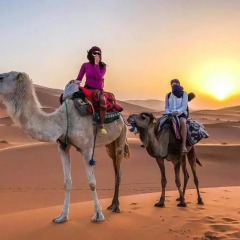 Отель Desert Berber Fire-Camp Марокко, Мерзуга - отзывы, цены и фото номеров - забронировать отель Desert Berber Fire-Camp онлайн спортивное сооружение