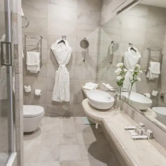 Гостиница Palmira Business Club 4* Студия с различными типами кроватей фото 13