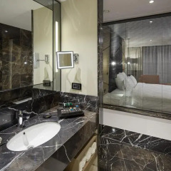 Pullman Istanbul Airport and Convention Center Hotel 4* Улучшенный номер с различными типами кроватей фото 4