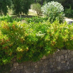 Отель In Collina Al Mare Di Sperlonga Итри фото 2