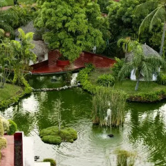 Отель Melia Puerto Vallarta - Все включено фото 6