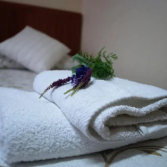 Отель Hostal Galaico Испания, Мадрид - отзывы, цены и фото номеров - забронировать отель Hostal Galaico онлайн спа фото 2