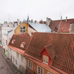 Отель Tallinn City Apartments Эстония, Таллин - 1 отзыв об отеле, цены и фото номеров - забронировать отель Tallinn City Apartments онлайн фото 13