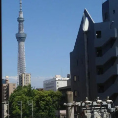 Отель Asakusa Hotel Wasou Япония, Токио - отзывы, цены и фото номеров - забронировать отель Asakusa Hotel Wasou онлайн фото 5