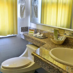 Hotel Plaza Del General 3* Полулюкс с двуспальной кроватью
