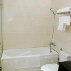 Dendro Hotel 3* Номер Делюкс с различными типами кроватей фото 18