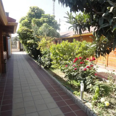 Отель Hostal Gran Avenida Саэлисес фото 3