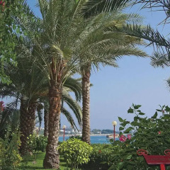 Rubi Hotel Турция, Аланья - отзывы, цены и фото номеров - забронировать отель Rubi Hotel онлайн фото 3
