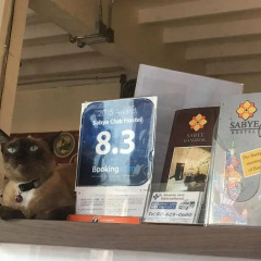 Sabye Club Hostel Бангкок с домашними животными