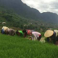 Отель Golden Rice Garden Sapa Шапа фитнесс-зал фото 2