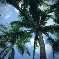Отель Sanya Jinglilai Resort пляж фото 2