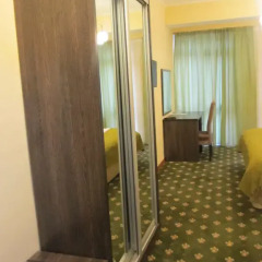 Гостиница Golden Palace 3* Стандартный номер с различными типами кроватей фото 4