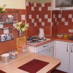 Апартаменты Victor's Apartments - Odessa в номере