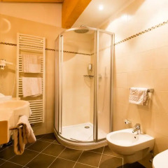 Hotel Schneeberg Family Resort & SPA 4* Стандартный номер с различными типами кроватей фото 3