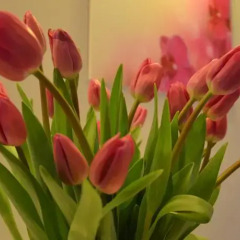 Отель Apartament Orchidea интерьер отеля фото 2