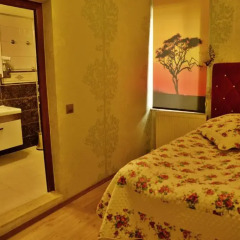 Dedeli Deluxe Hotel 3* Стандартный номер с различными типами кроватей фото 14
