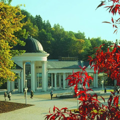 Hotel Flora развлечения