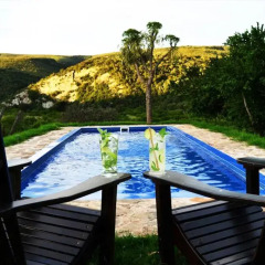 Отель Addo Bush Palace Private Reserve бассейн фото 2