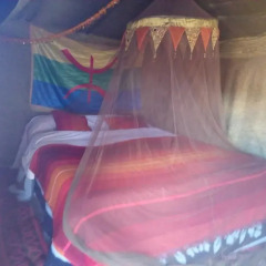 Отель Desert Camel Camp Марокко, Мерзуга - отзывы, цены и фото номеров - забронировать отель Desert Camel Camp онлайн комната для гостей фото 3
