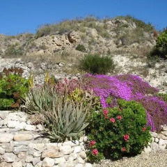 Отель Almond Reef Casa Rural фото 4