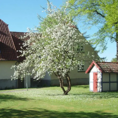 Best Western Hotel Knudsens Gaard спортивное сооружение