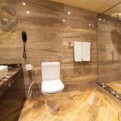 Pyramisa Suites Hotel & Casino Cairo 5* Номер категории Премиум с различными типами кроватей