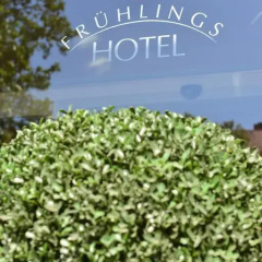 Frühlings-Hotel фото 2