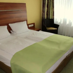 Hotel Wallis комната для гостей фото 4