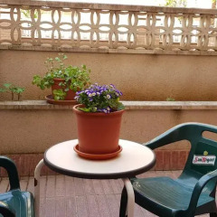 Hotel Reina Isabel Льейда питание фото 3