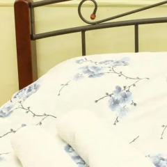 Olive Hostel