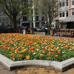 Апартаменты Valet Apartments Golden Square