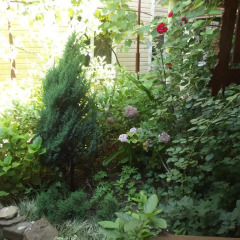 Гостиница Guest House Solnyshko фото 4