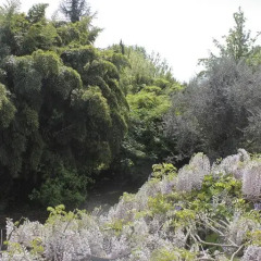 Отель Una Finestra Sul Fiume Италия, Мира - отзывы, цены и фото номеров - забронировать отель Una Finestra Sul Fiume онлайн фото 16