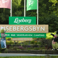 Отель Lisebergsbyn Karralund Швеция, Гётеборг - отзывы, цены и фото номеров - забронировать отель Lisebergsbyn Karralund онлайн спортивное сооружение