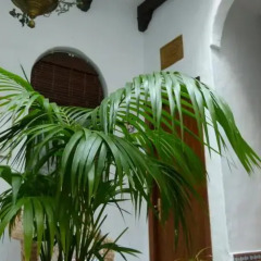 Отель Hostal Santa Catalina интерьер отеля фото 2