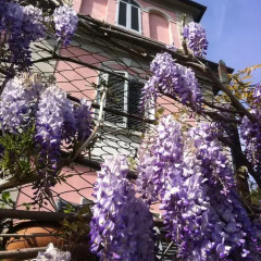 Отель Villa Arianna B&B Лари фото 13