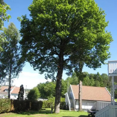 Отель Grimstad Hostel & Vandrehjem Норвегия, Гримстад - отзывы, цены и фото номеров - забронировать отель Grimstad Hostel & Vandrehjem онлайн фото 2