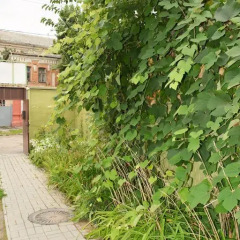 Гостиница Sweetdream Hostel Украина, Харьков - отзывы, цены и фото номеров - забронировать гостиницу Sweetdream Hostel онлайн фото 2
