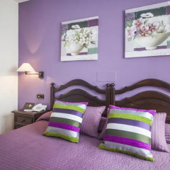 Hotel La Boriza 3* Стандартный номер с различными типами кроватей фото 16